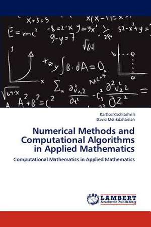 Numerical Methods and Computational Algorithms in Applied Mathematics de Kartlos Kachiashvili