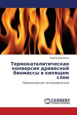 Termokataliticheskaya konversiya drevesnoy biomassy v kipyashchem sloe de Vasilevich Sergey