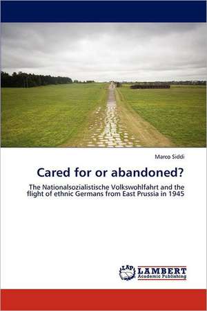 Cared for or abandoned? de Marco Siddi