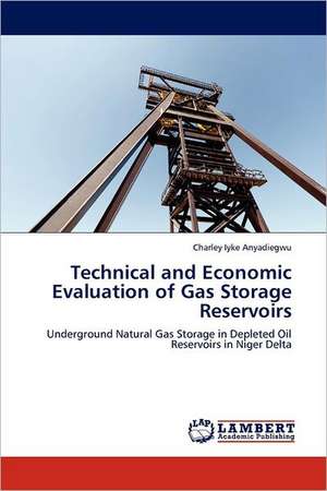 Technical and Economic Evaluation of Gas Storage Reservoirs de Charley Iyke Anyadiegwu