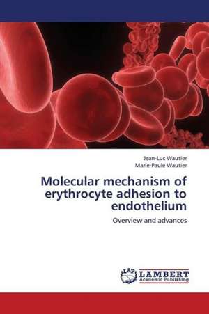 Molecular mechanism of erythrocyte adhesion to endothelium de Wautier Jean-Luc