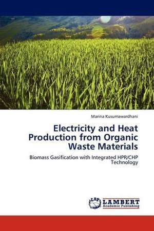 Electricity and Heat Production from Organic Waste Materials de Kusumawardhani Marina