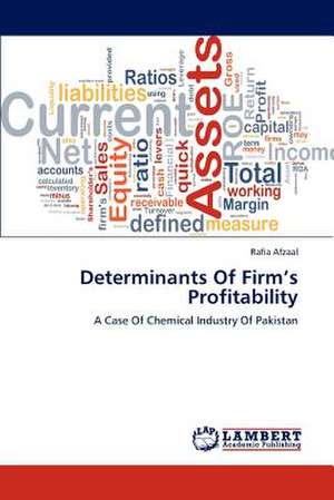 Determinants Of Firm's Profitability de Afzaal Rafia