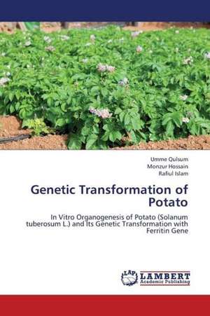 Genetic Transformation of Potato de Qulsum Umme