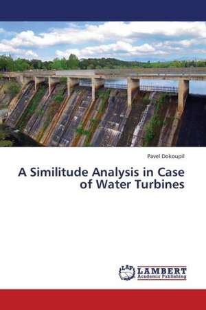 A Similitude Analysis in Case of Water Turbines de Dokoupil Pavel