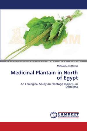 Medicinal Plantain in North of Egypt de El-Ramal Mahitab M.