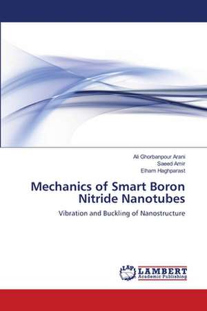 Mechanics of Smart Boron Nitride Nanotubes de Ghorbanpour Arani Ali