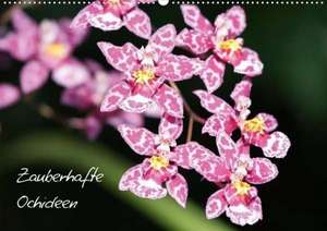 Zauberhafte Orchideen (Posterbuch DIN A3 quer) de SchnelleWelten