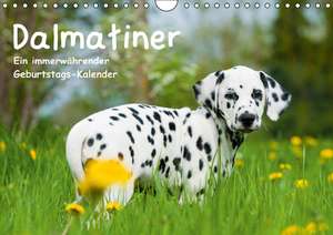 Dalmatiner - Ein immerwährender Geburtstags-Kalender (Wandkalender immerwährend DIN A4 quer) de Judith Dzierzawa