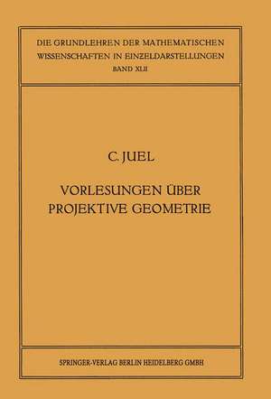 Vorlesungen über Projektive Geometrie: Mit besonderer Berücksichtigung der v. Staudtschen Imaginärtheorie de Christian Juel