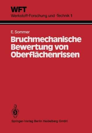 Bruchmechanische Bewertung von Oberflächenrissen: Grundlagen, Experimente, Anwendungen de E. Sommer