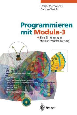 Programmieren mit Modula-3: Eine Einführung in stilvolle Programmierung de Laszlo Böszörmenyi