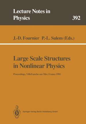 Large Scale Structures in Nonlinear Physics: Proceedings of a Workshop Held in Villefranche-sur-Mer, France, 13–18 January 1991 de Jean-Daniel Fournier