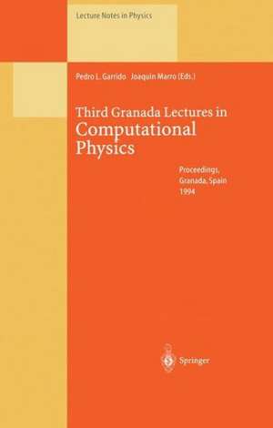 Third Granada Lectures in Computational Physics: Proceedings of the III Granada Seminar on Computational Physics, Held at Granada , Spain, 5–10 September 1994 de Pedro L. Garrido