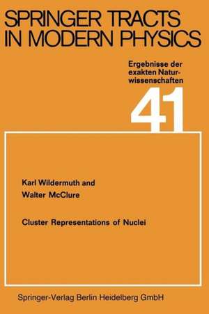 Cluster Representations of Nuclei de K. Wildermuth