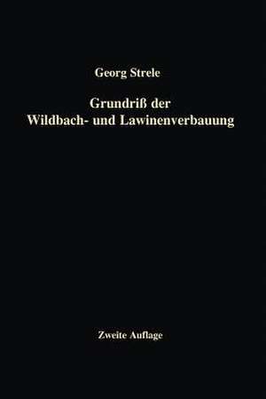 Grundriß der Wildbach- und Lawinenverbauung de Georg Strele