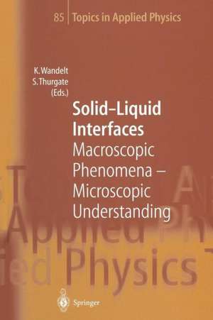 Solid-Liquid Interfaces: Macroscopic Phenomena — Microscopic Understanding de Klaus Wandelt