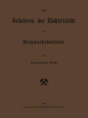 Die Gefahren der Elektrizität im Bergwerksbetriebe de Georg Friedrich Baum