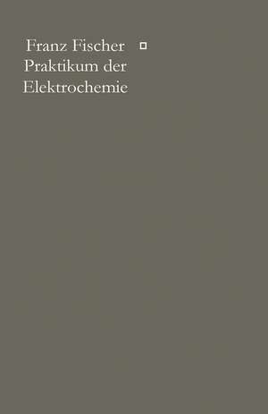 Praktikum der Elektrochemie de Franz Fischer