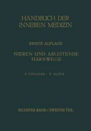 Die doppelseitigen hämatogenen Nierenerkrankungen.: Besonderer Teil: Die ein- und beidseitig auftretenden Nierenkrankheiten. Blasé. Prostata. Hoden und Nebenhoden. Samenblasen; funktionelle Sexualstörungen / Nieren und Ableitende Harnwege de von G. Bergmann