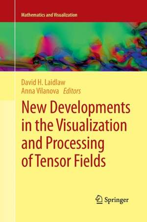 New Developments in the Visualization and Processing of Tensor Fields de David H. Laidlaw