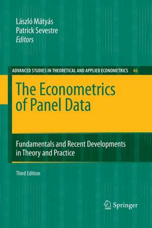 The Econometrics of Panel Data: Fundamentals and Recent Developments in Theory and Practice de Lászlo Mátyás