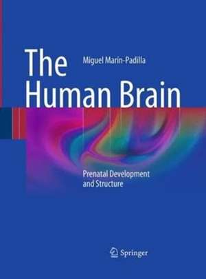 The Human Brain: Prenatal Development and Structure de Miguel Marín-Padilla