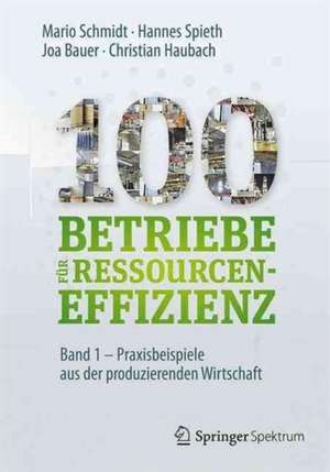 100 Betriebe für Ressourceneffizienz - Band 1: Praxisbeispiele aus der produzierenden Wirtschaft de Mario Schmidt