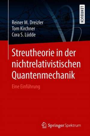 Streutheorie in der nichtrelativistischen Quantenmechanik: Eine Einführung de Reiner M. Dreizler