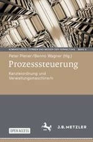 Prozesssteuerung de Peter Plener