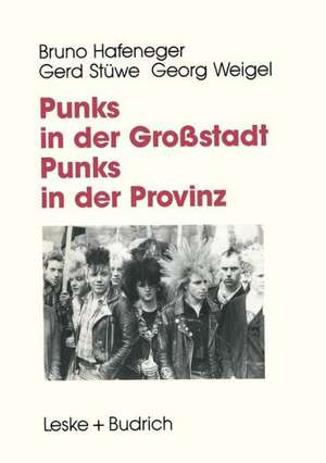 Punks in der Großstadt — Punks in der Provinz: Projektberichte aus der Jugendarbeit de Benno Hafeneger