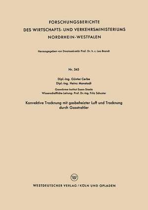 Konvektive Trocknung mit gasbeheizter Luft und Trocknung durch Gasstrahler de Günter Cerbe