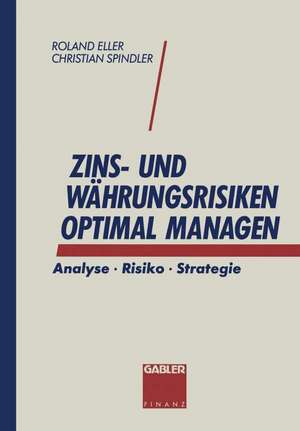 Zins- und Währungsrisiken optimal managen: Analyse · Risiko · Strategie de Christian Spindler