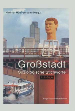 Großstadt: Soziologische Stichworte de Hartmut Häussermann