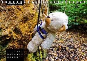 Outdoor Teddies (Tischkalender 2016 DIN A5 quer) de Karin Sigwarth