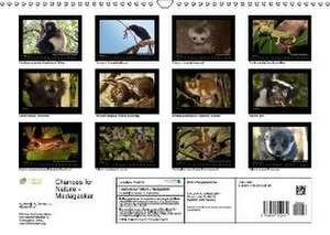 Chances for Nature - Madagaskar (Wandkalender 2016 DIN A3 quer) de Matthias Markolf