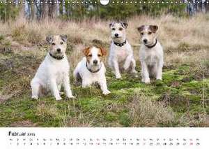 Parson Russell Terrier vom Niggeland 2016 (Wandkalender 2016 DIN A3 quer) de Heike Rolf