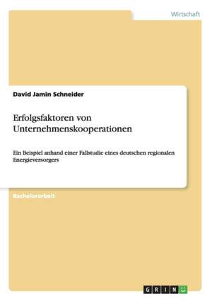 Erfolgsfaktoren von Unternehmenskooperationen de David Jamin Schneider