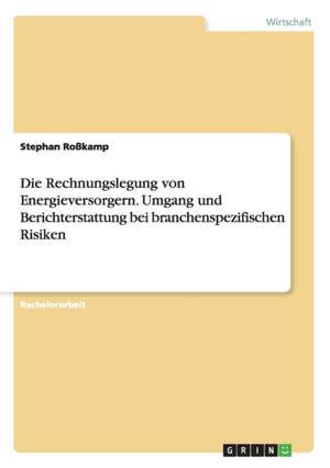 Die Rechnungslegung von Energieversorgern. Umgang und Berichterstattung bei branchenspezifischen Risiken de Stephan Roßkamp