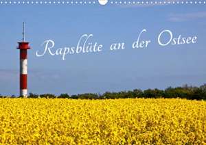 Rapsblüte an der Ostsee (Wandkalender 2023 DIN A3 quer) de Ro BRA - Rolf Braun Ostseefotograf