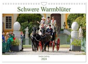 Schwere Warmblüter 2024 (Wandkalender 2024 DIN A4 quer), CALVENDO Monatskalender de Sandra Ludwig