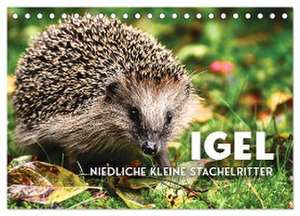 Igel - Niedliche kleine Stachelritter (Tischkalender 2024 DIN A5 quer), CALVENDO Monatskalender de Sf Sf