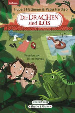 Die Drachen sind los de Hubert Flattinger