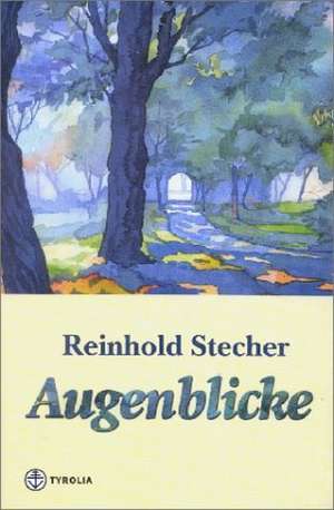 Augenblicke de Reinhold Stecher