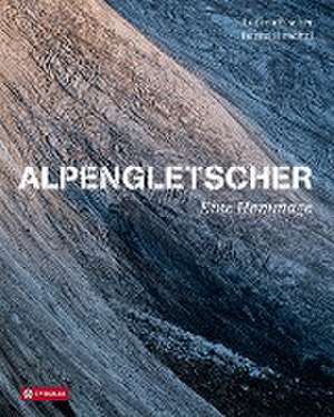 Alpengletscher de Andrea Fischer