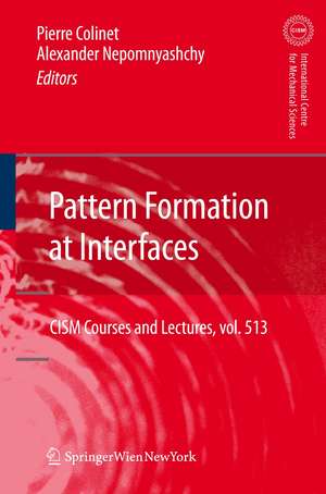 Pattern Formation at Interfaces de Pierre Colinet