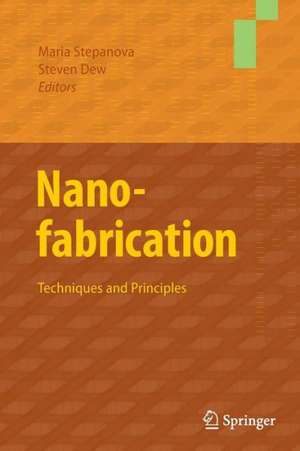 Nanofabrication: Techniques and Principles de Maria Stepanova