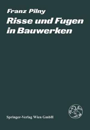 Risse und Fugen in Bauwerken de F. Pilny