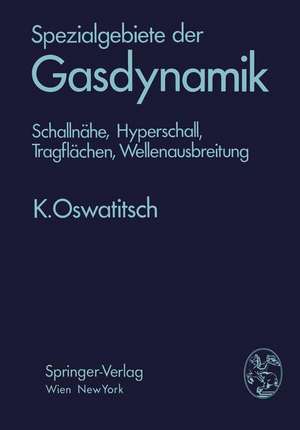 Spezialgebiete der Gasdynamik: Schallnähe, Hyperschall, Tragflächen, Wellenausbreitung de Klaus Oswatitsch