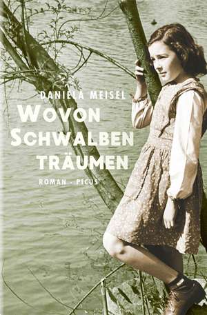 Wovon Schwalben träumen de Daniela Meisel